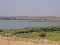 Laguna de Sariñena, verano
