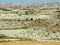 Paisaje estepáreo de Monegrillo